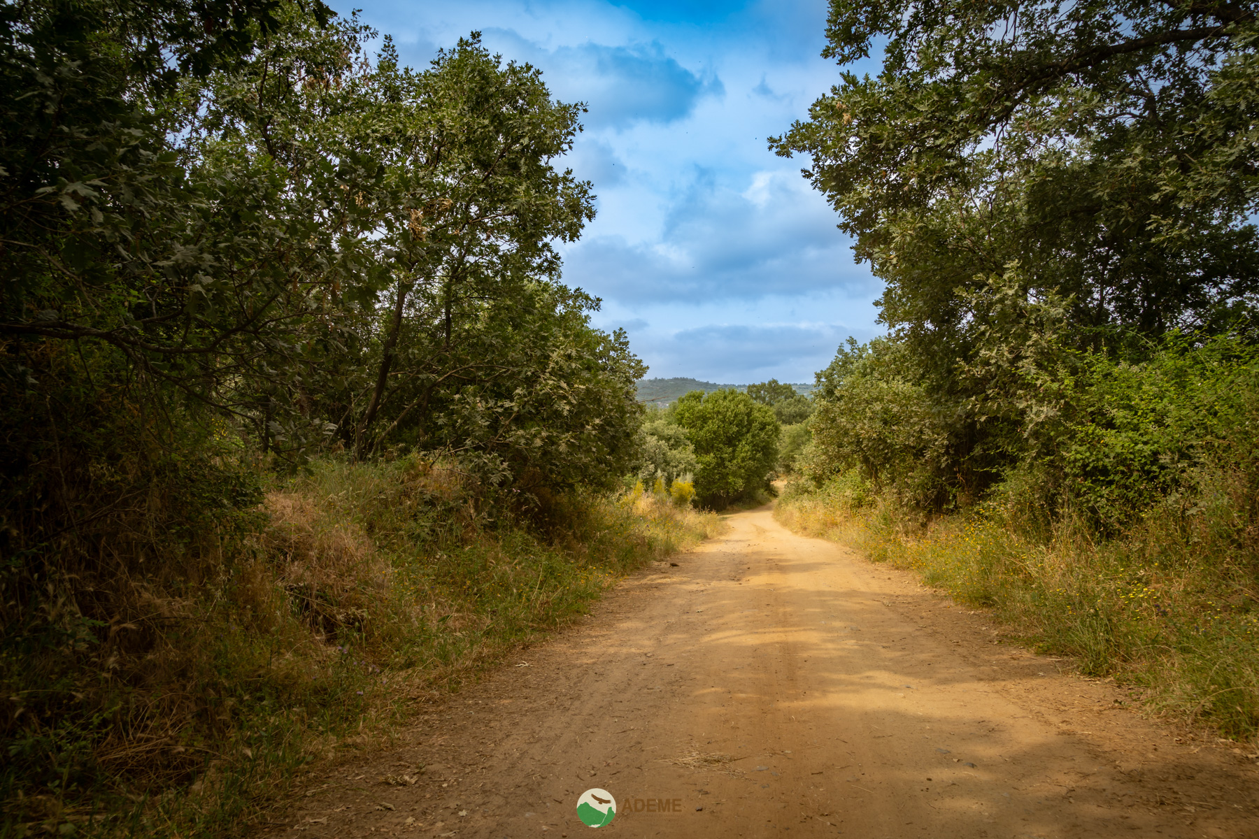 Naturaleza y Turismo de Estrellas