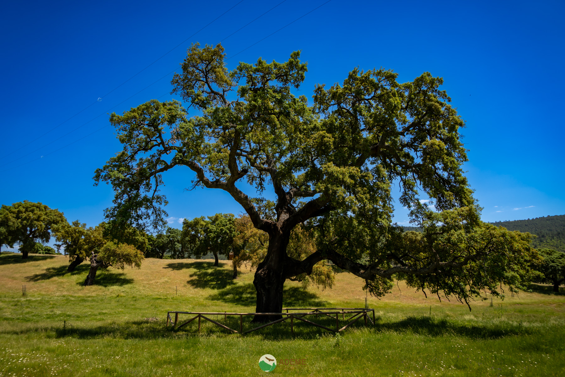 Naturaleza y Turismo de Estrellas