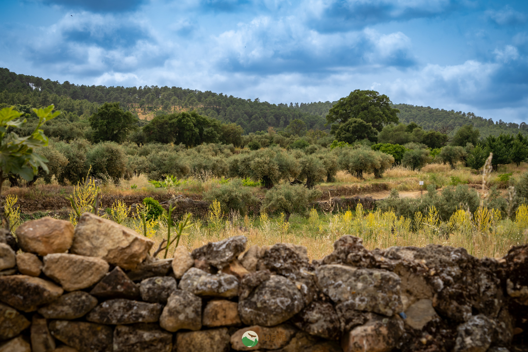 Naturaleza y Turismo de Estrellas