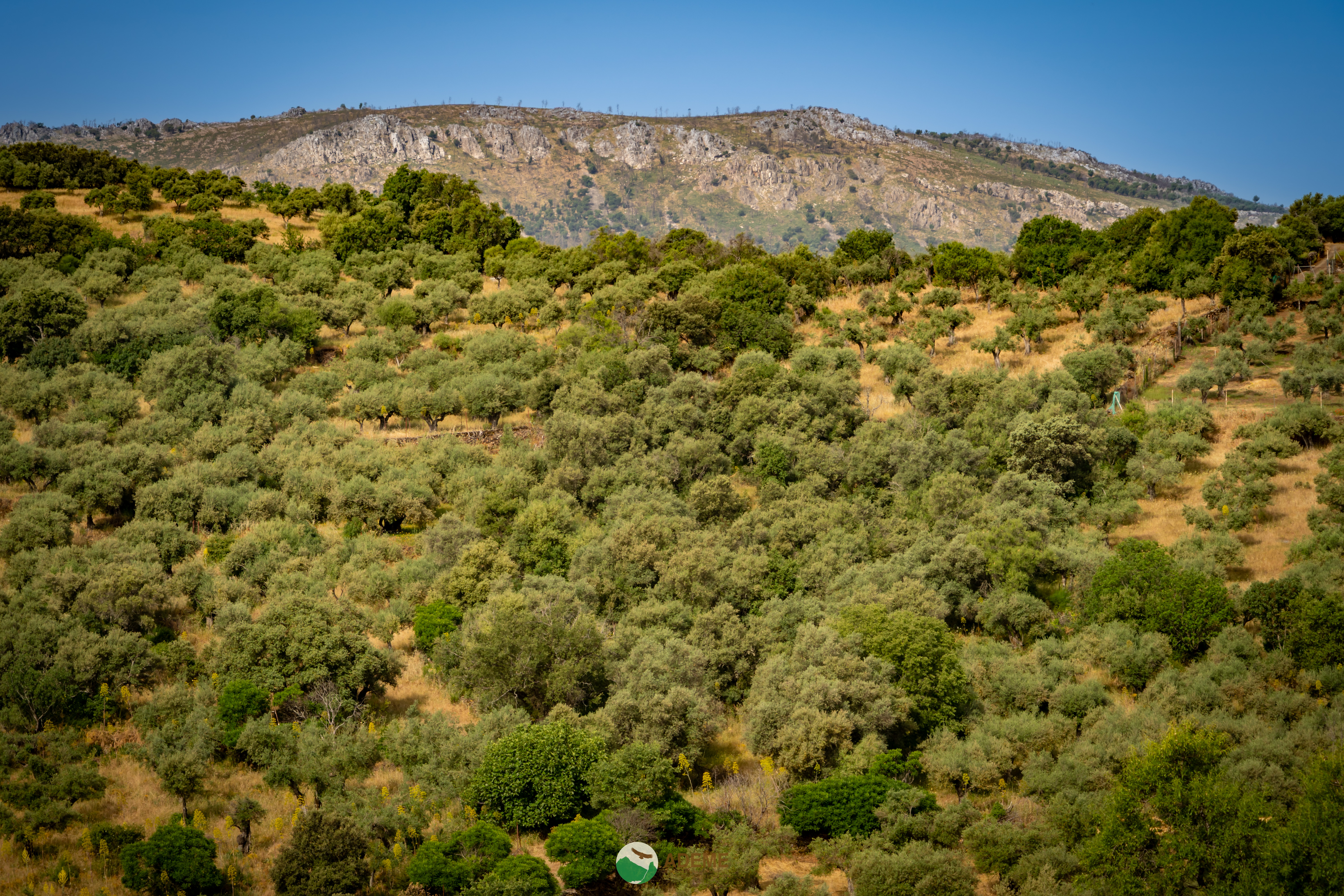 Naturaleza y Turismo de Estrellas