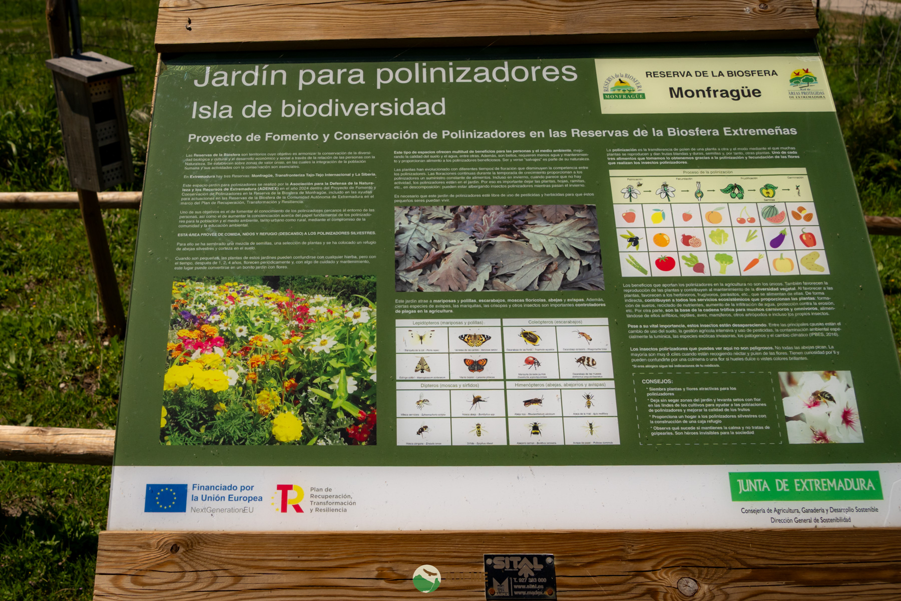 Naturaleza y Turismo de Estrellas