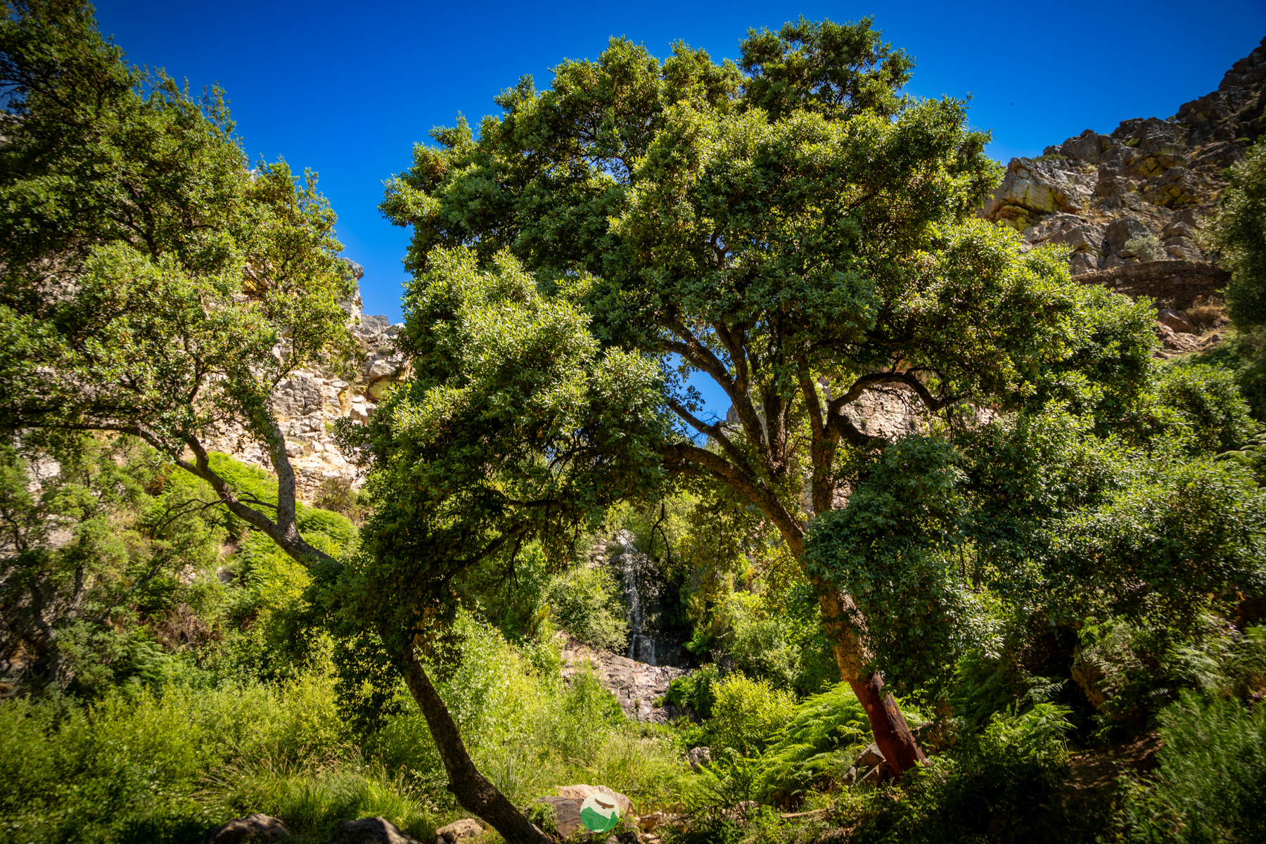 Naturaleza y Turismo de Estrellas