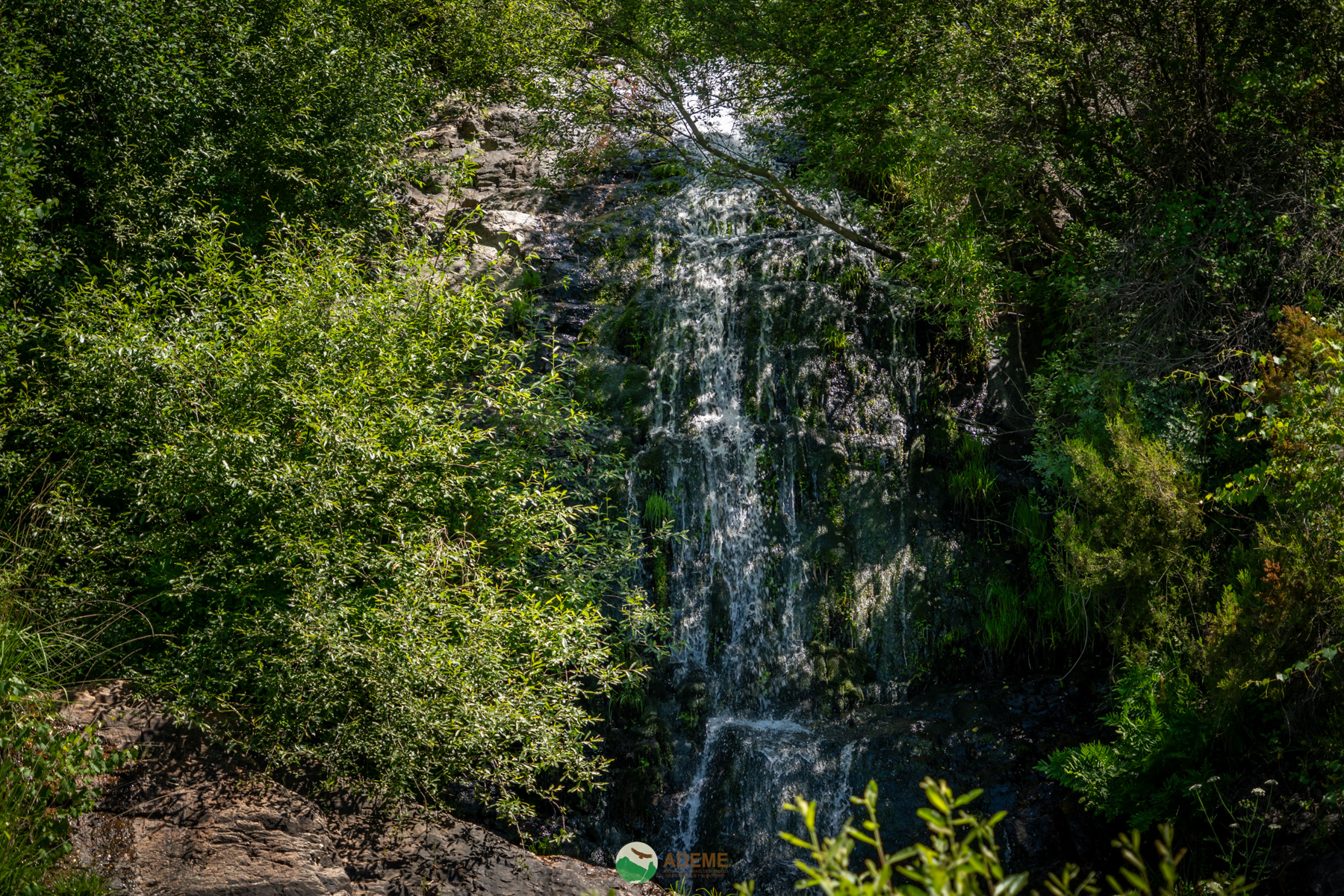 Naturaleza y Turismo de Estrellas