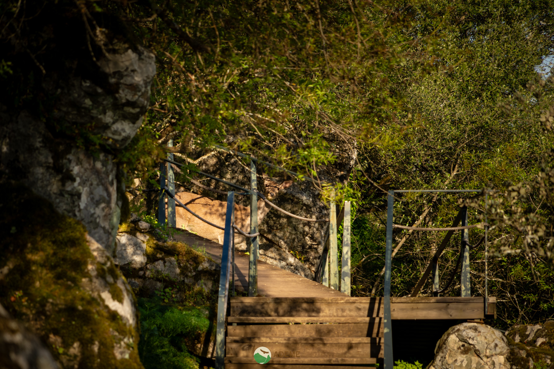 Naturaleza y Turismo de Estrellas