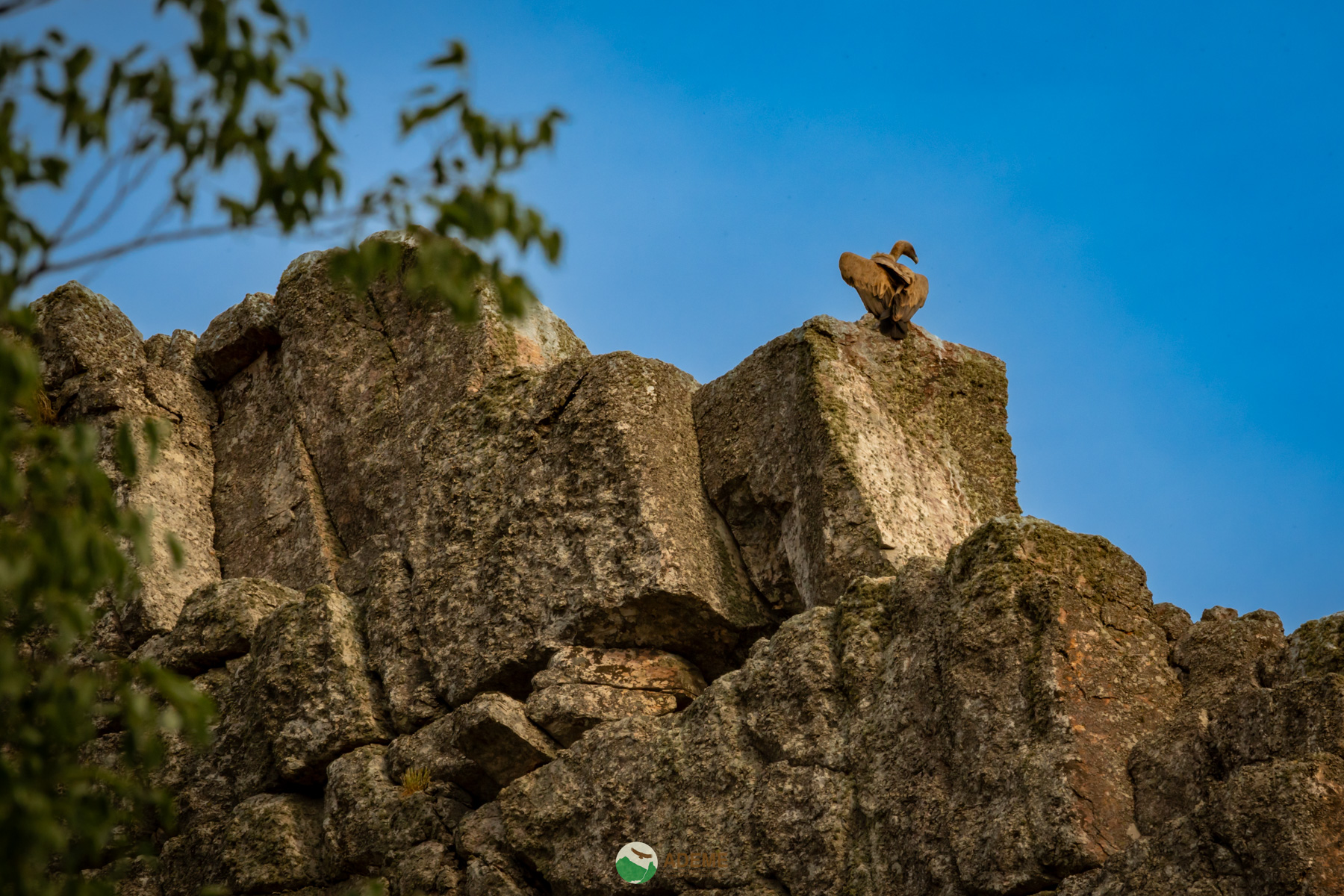 Naturaleza y Turismo de Estrellas