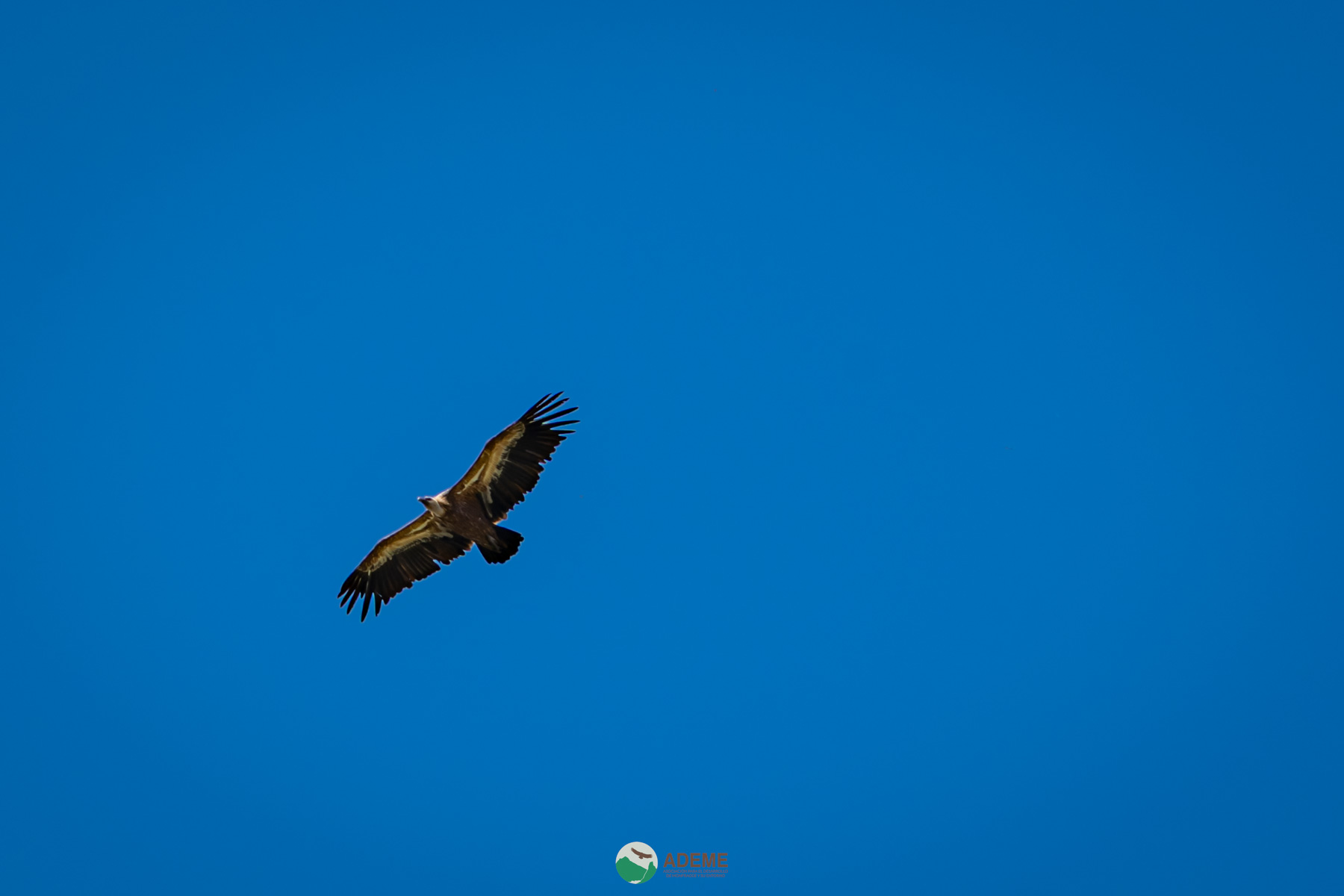 Naturaleza y Turismo de Estrellas