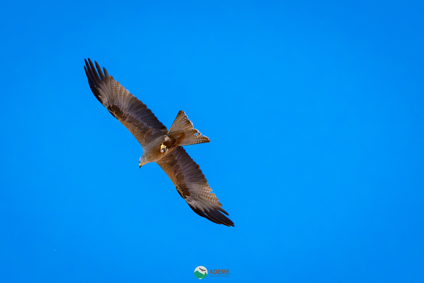 Naturaleza y Turismo de Estrellas