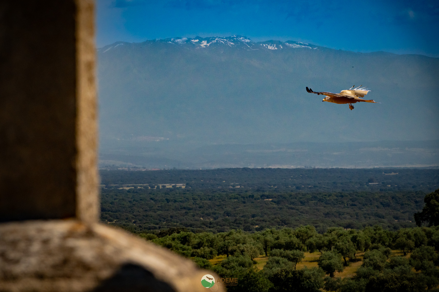 Naturaleza y Turismo de Estrellas