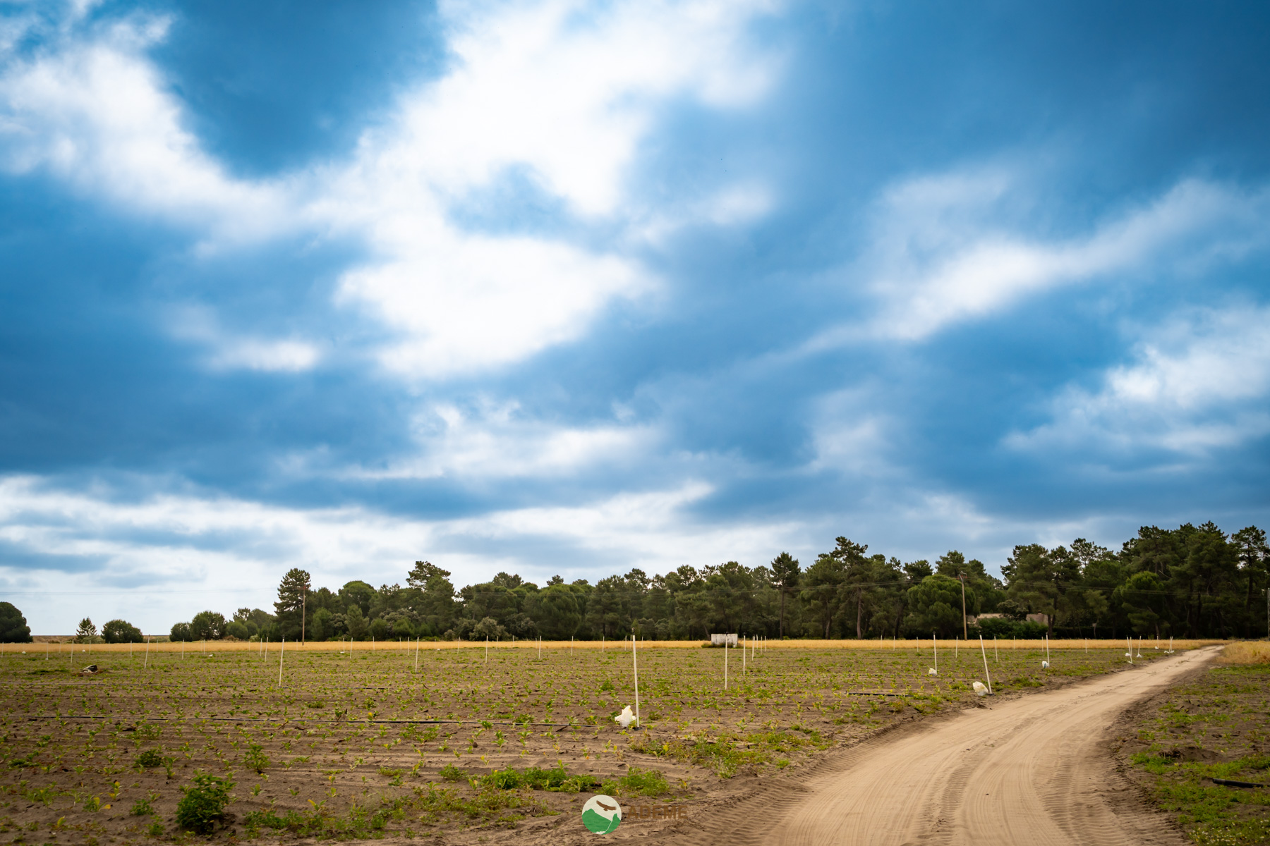 Naturaleza y Turismo de Estrellas