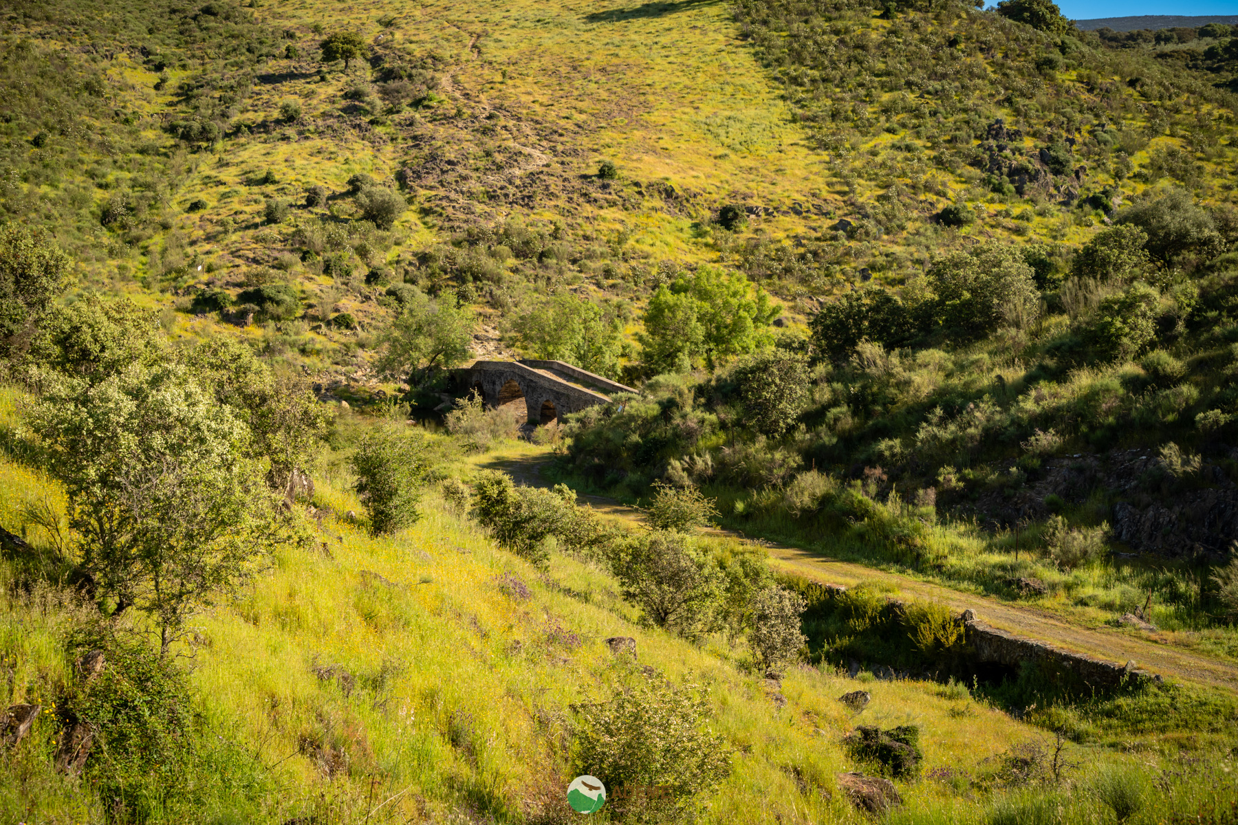 Naturaleza y Turismo de Estrellas