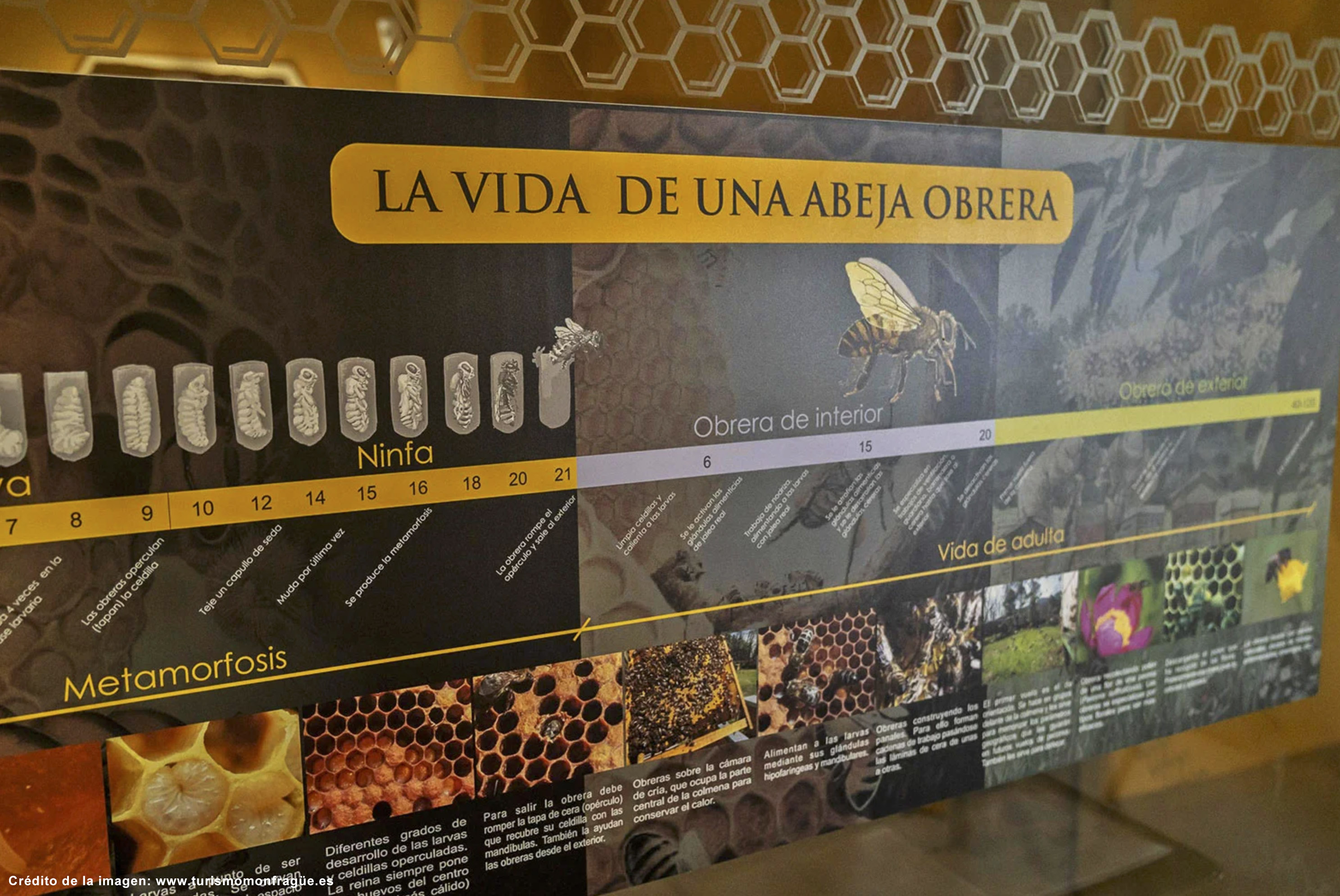 centros de interpretación