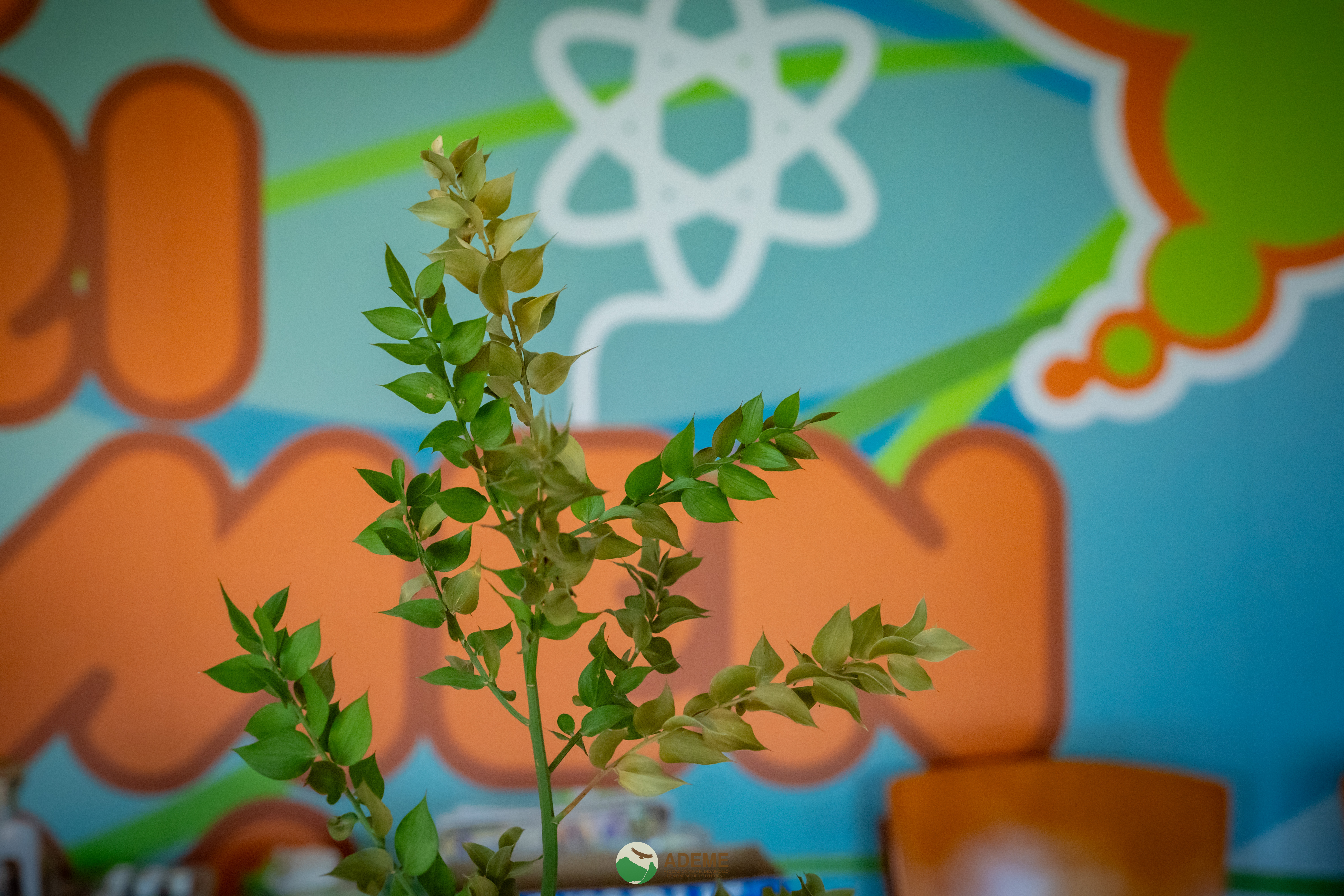 centros de interpretación