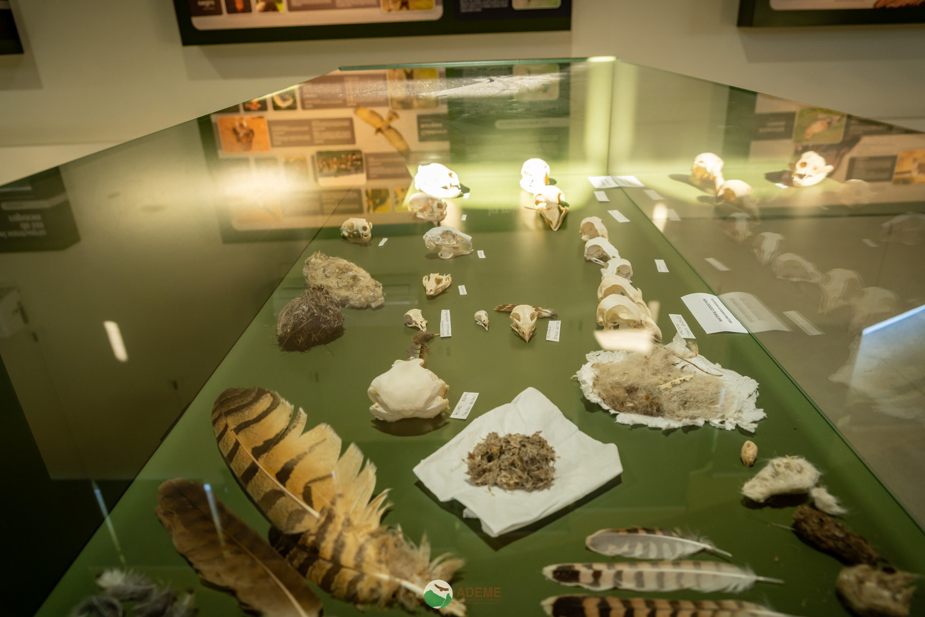 centros de interpretación