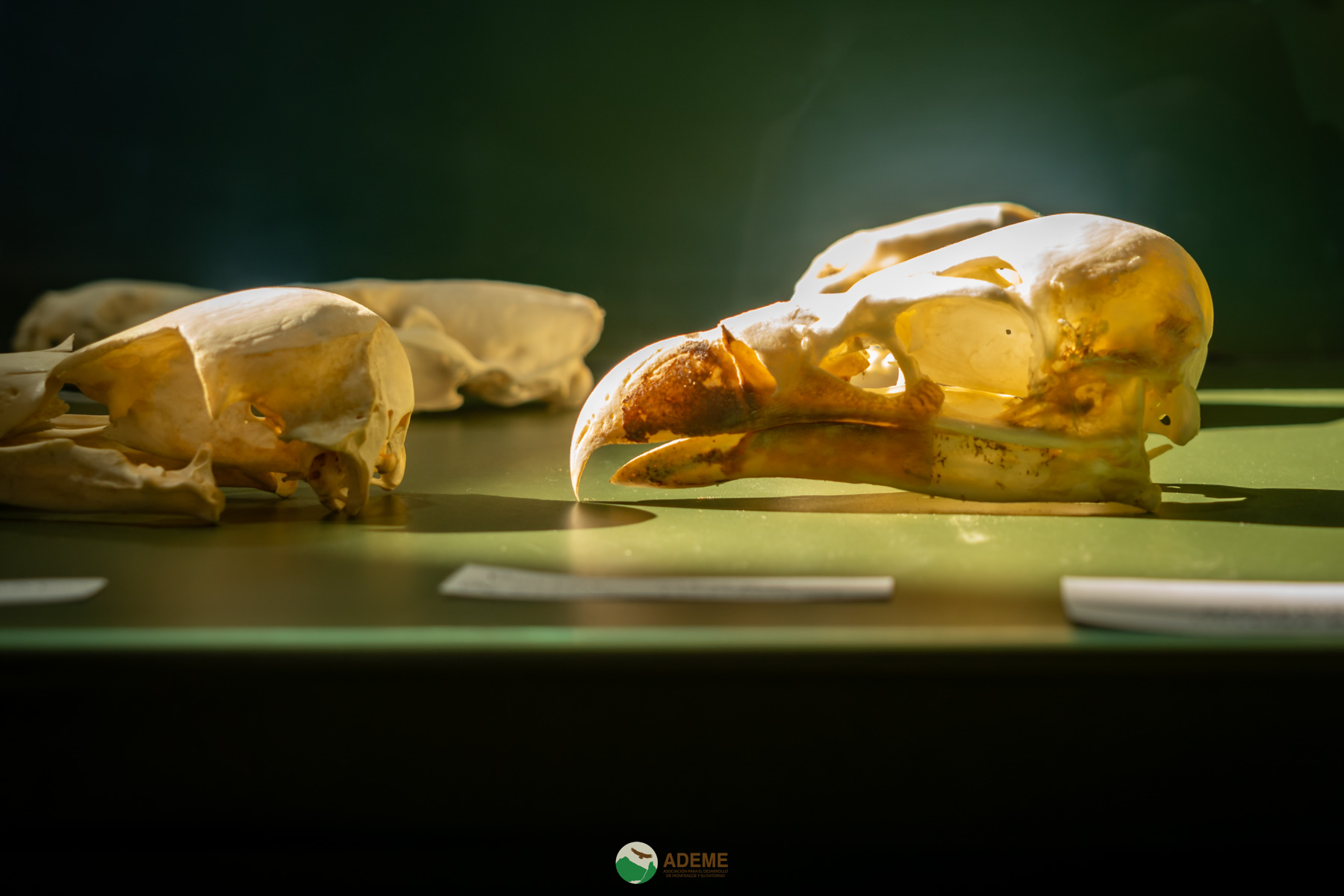 centros de interpretación