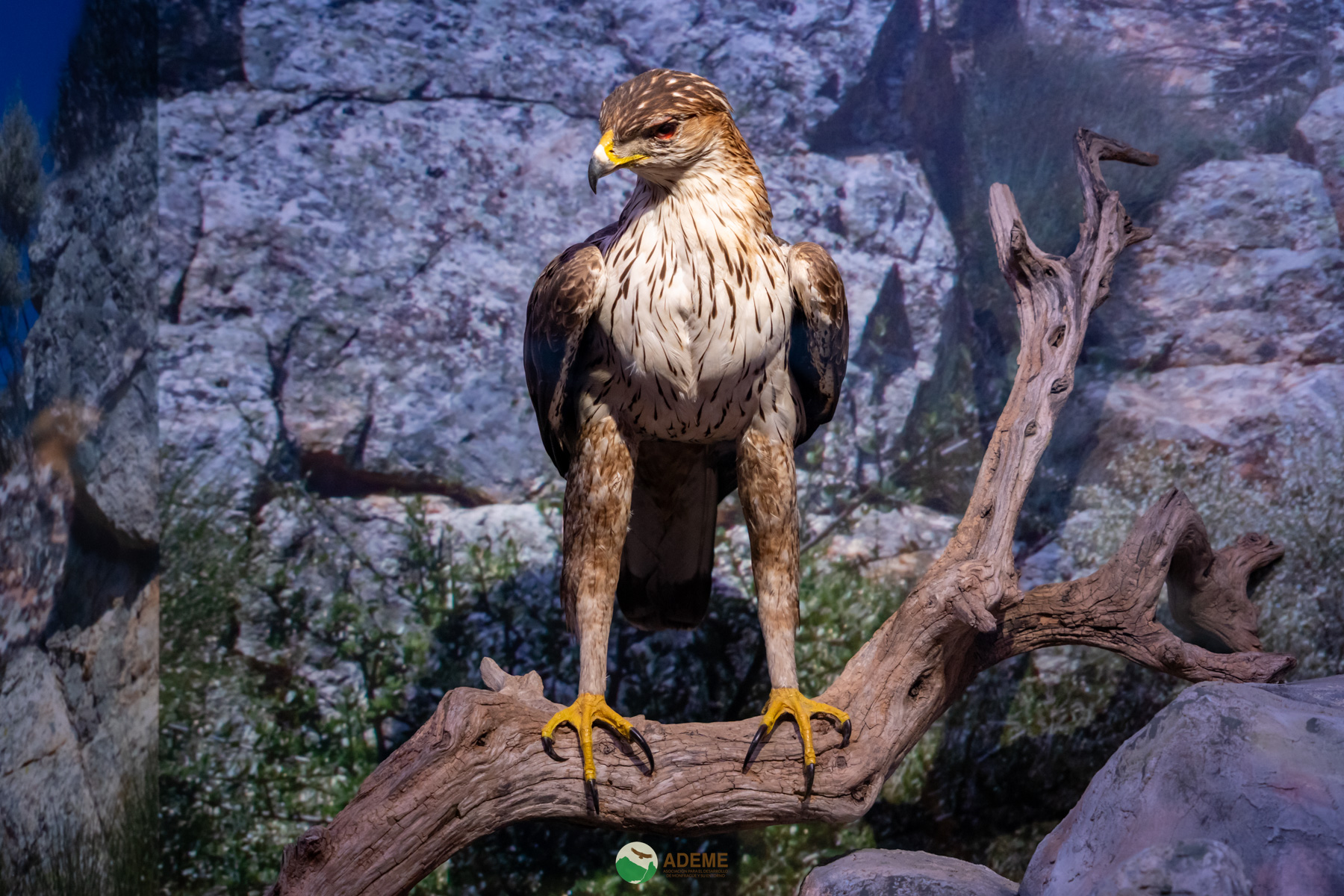 centros de interpretación