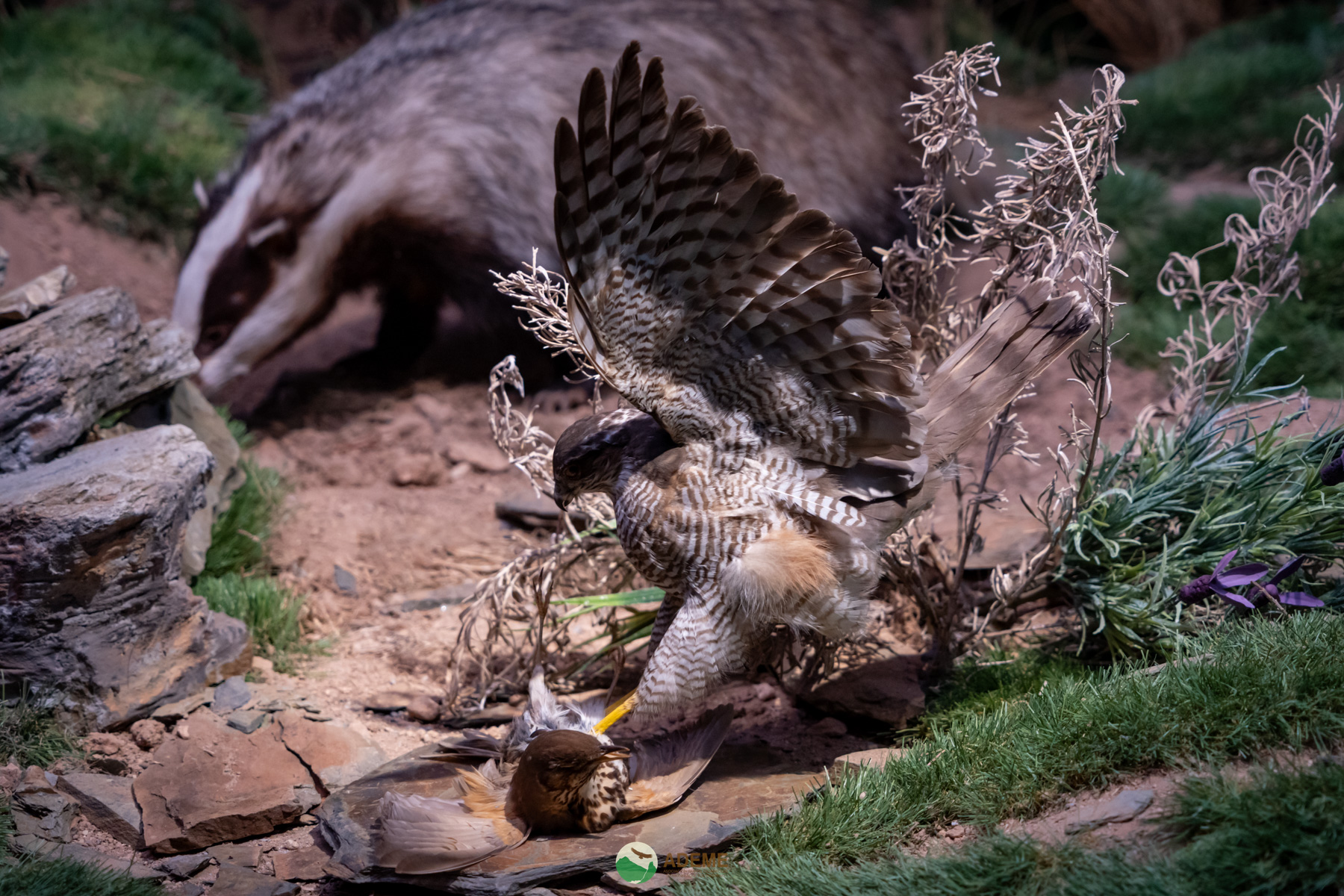 centros de interpretación