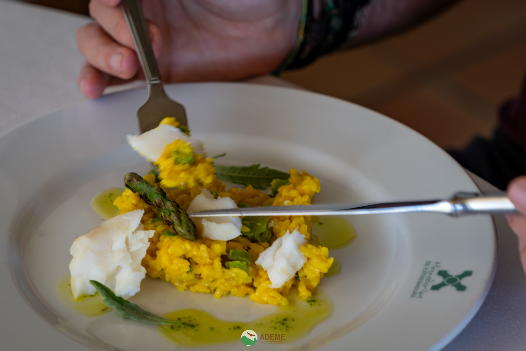 alojamientos y restauracion