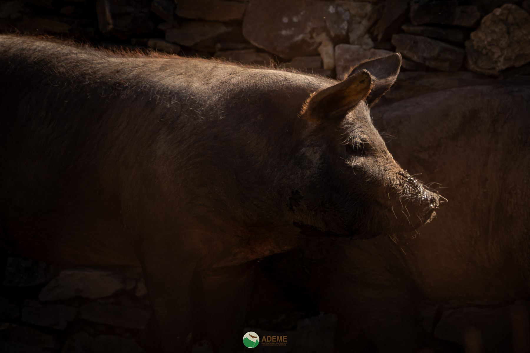 alojamientos y restauracion