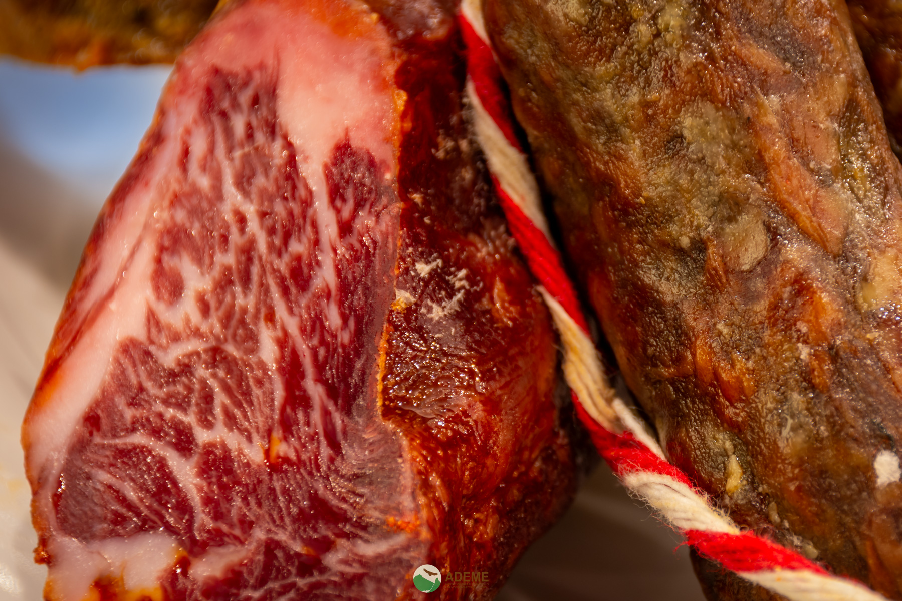 alojamientos y restauracion