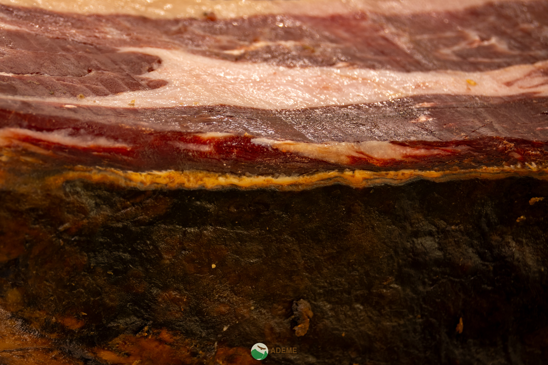 alojamientos y restauracion