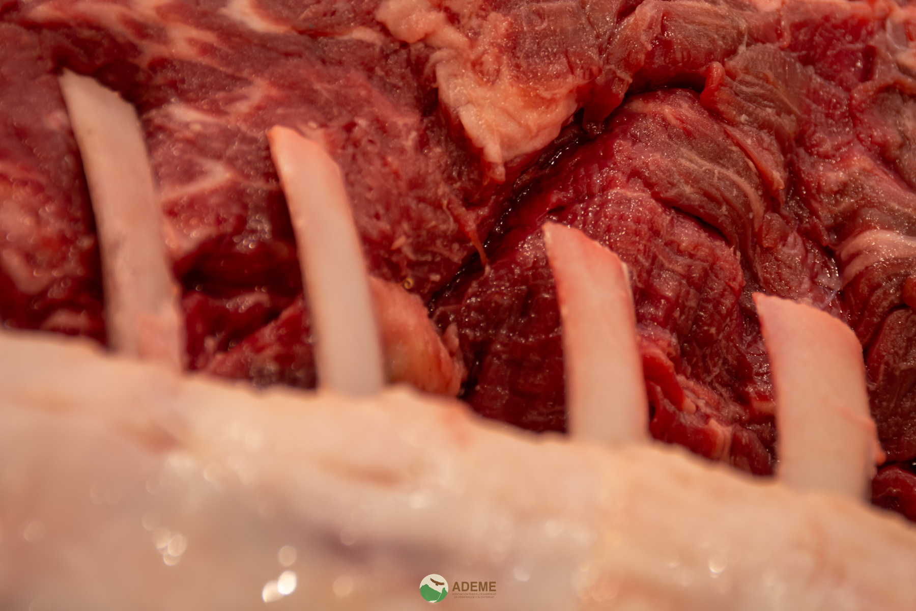 alojamientos y restauracion