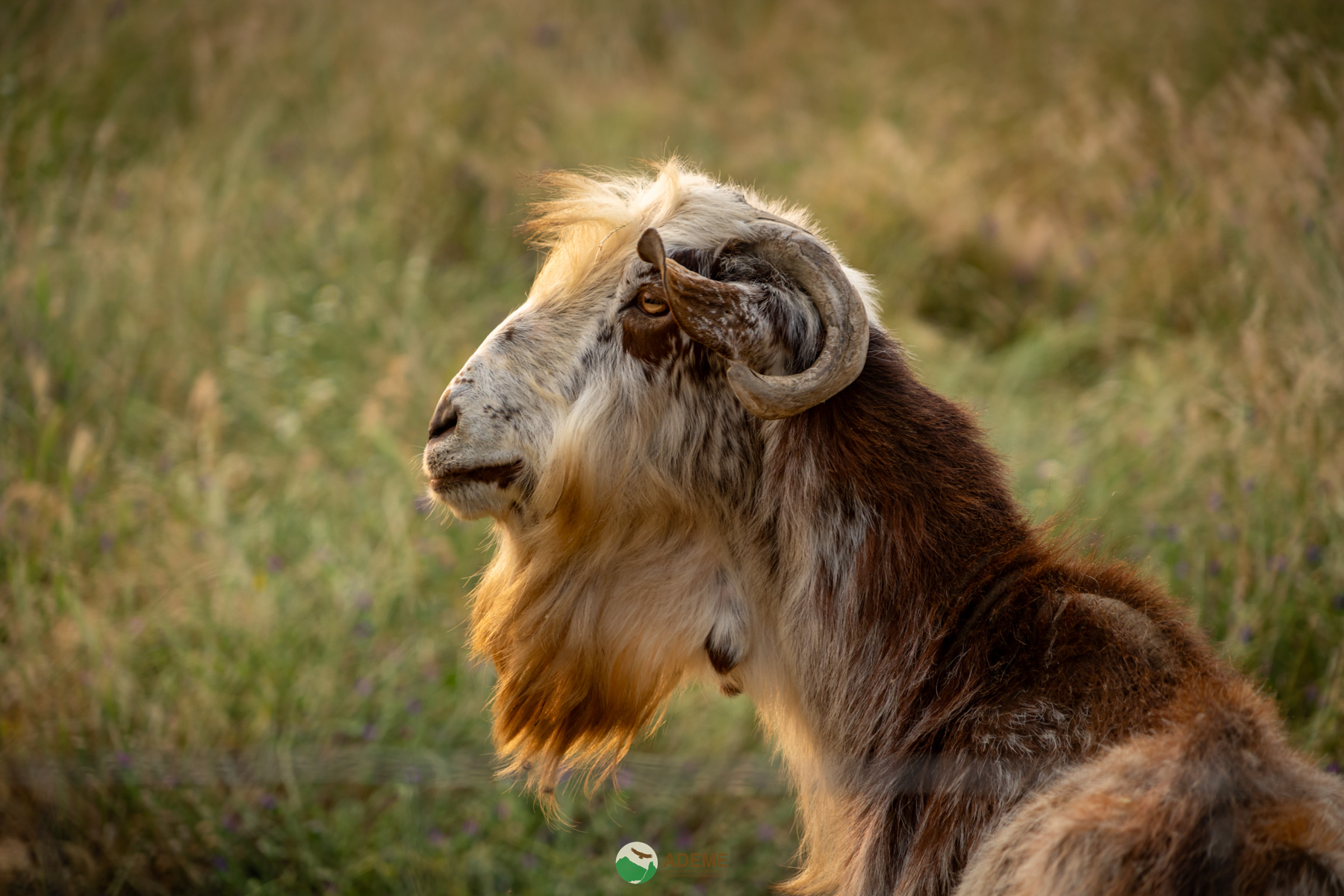 alojamientos y restauracion