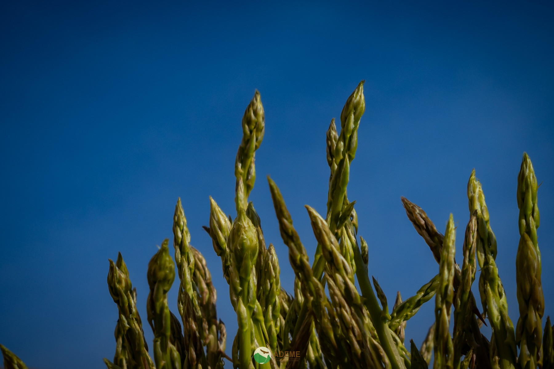 alojamientos y restauracion
