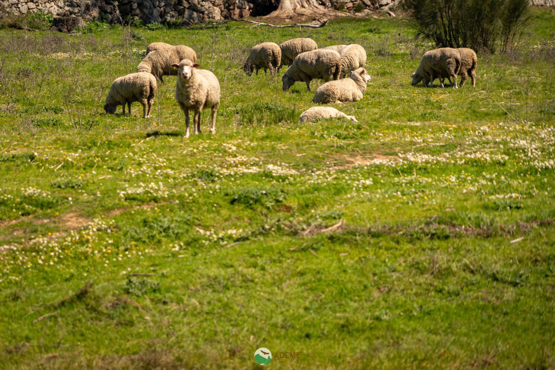 alojamientos y restauracion