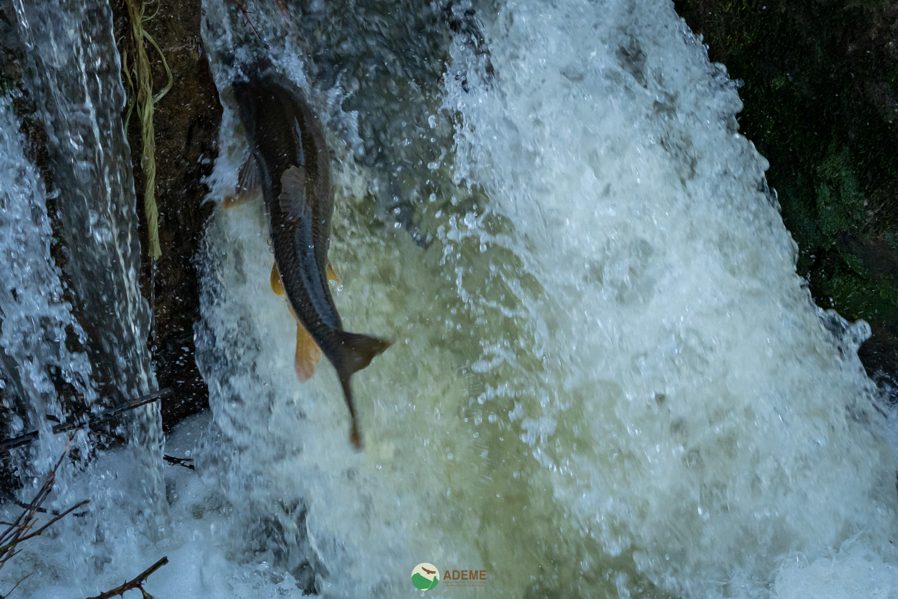 alojamientos y restauracion