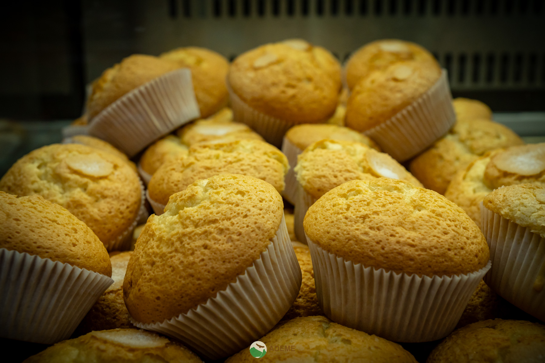 alojamientos y restauracion