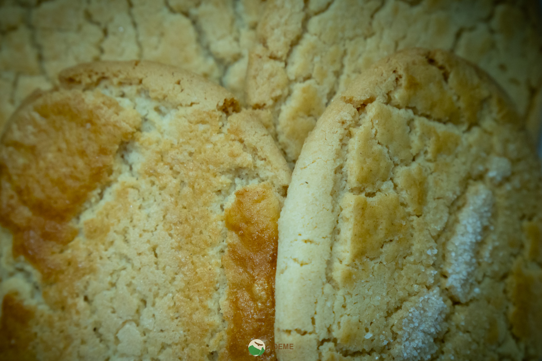 alojamientos y restauracion