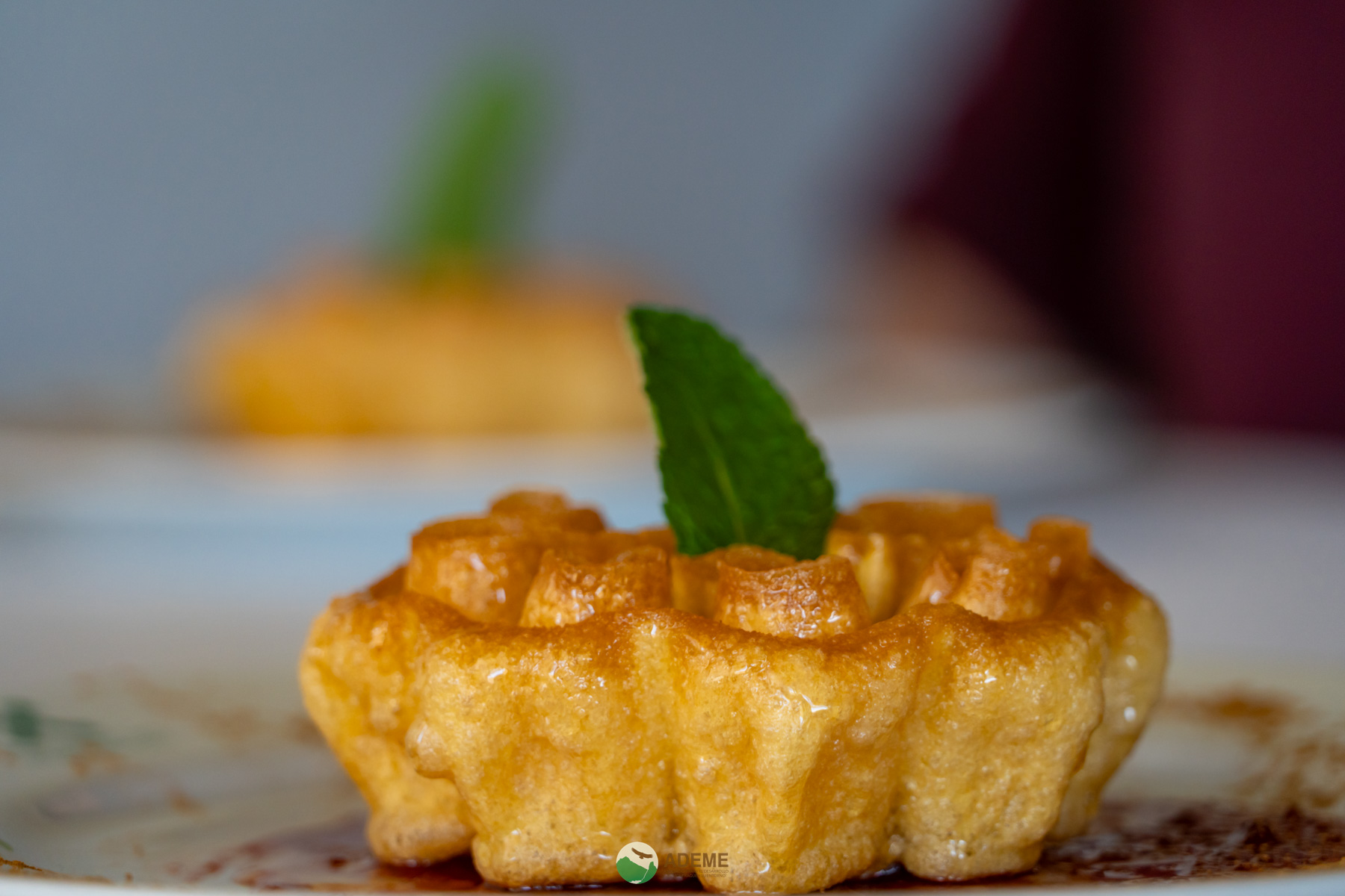 alojamientos y restauracion