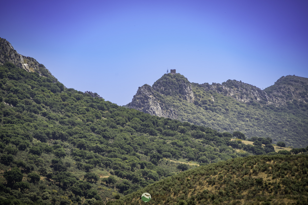 cuatro fuentes y una cascada