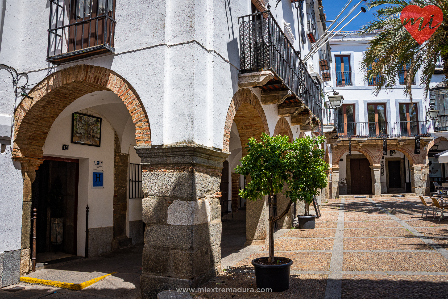plazas de zafra