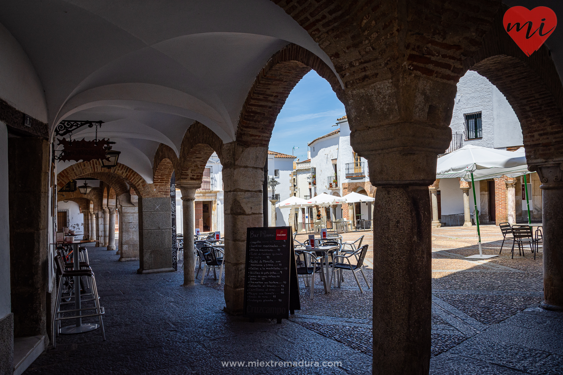 plazas de zafra