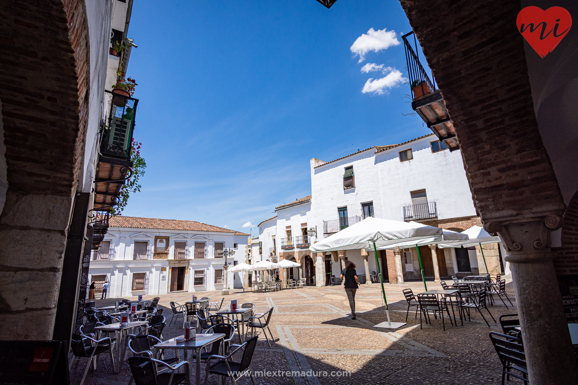 plazas de zafra
