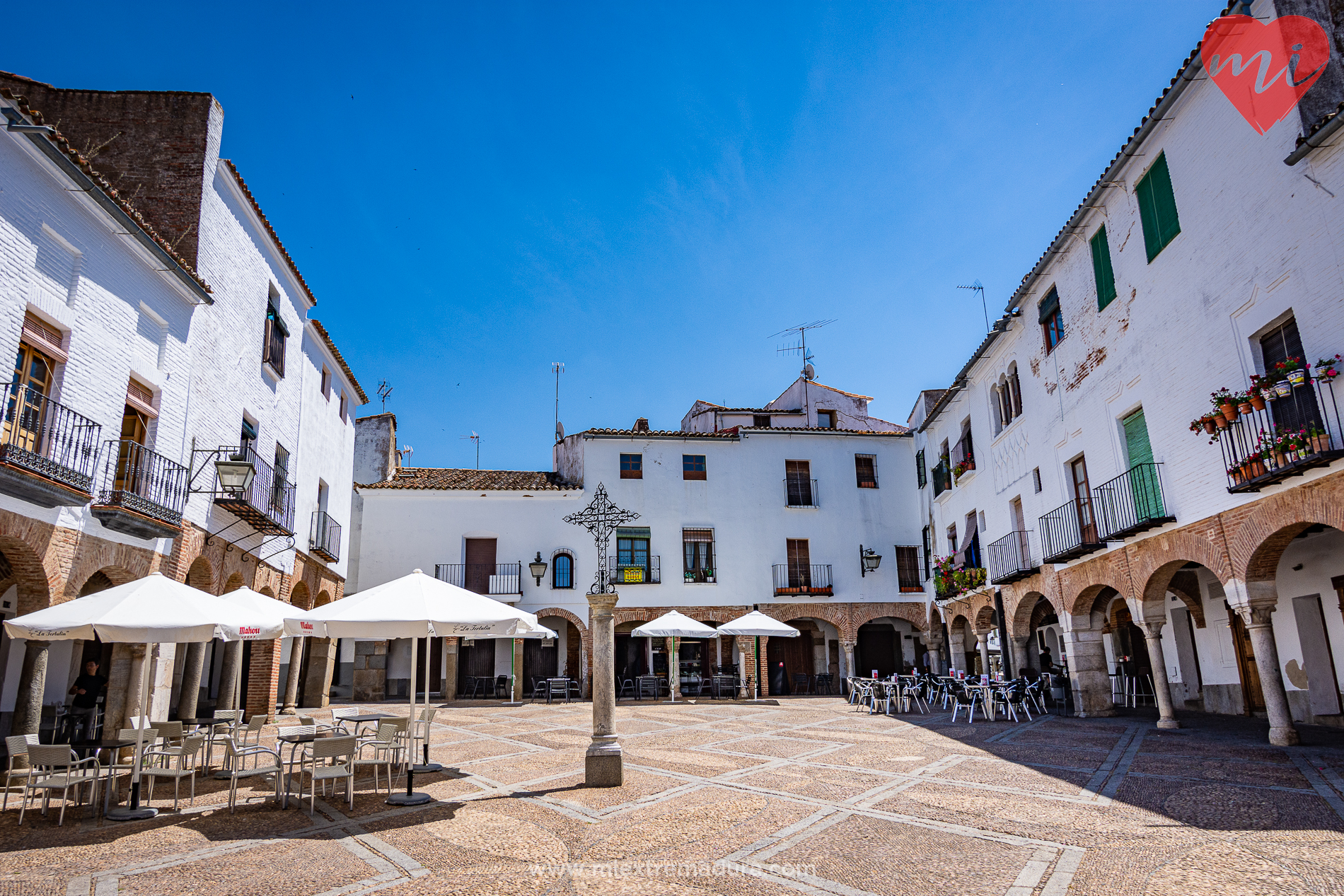 plazas de zafra