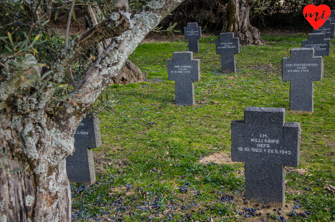 cementerio-aleman-yuste