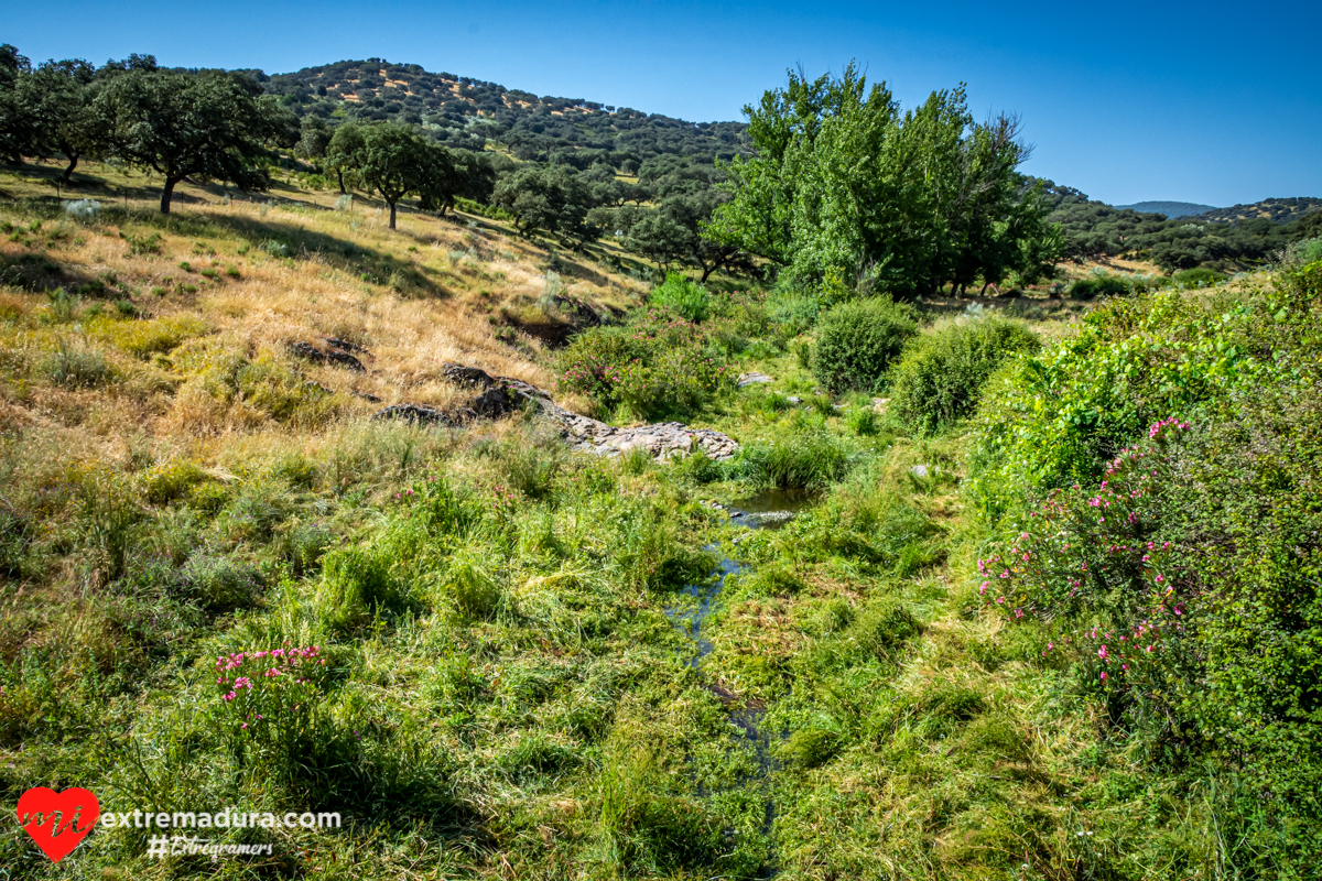hoya-de-santa-maria-de-navas-la-zapatera
