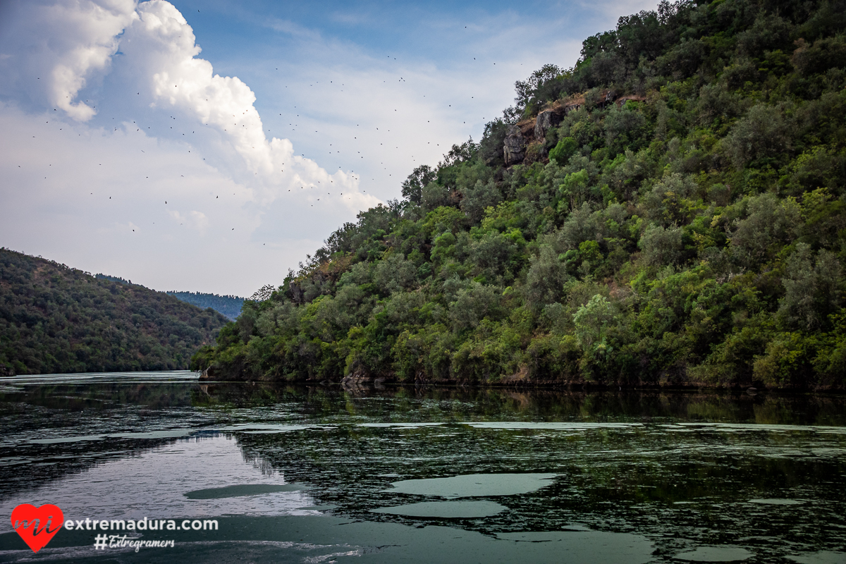 Crucero Tajo Internacional