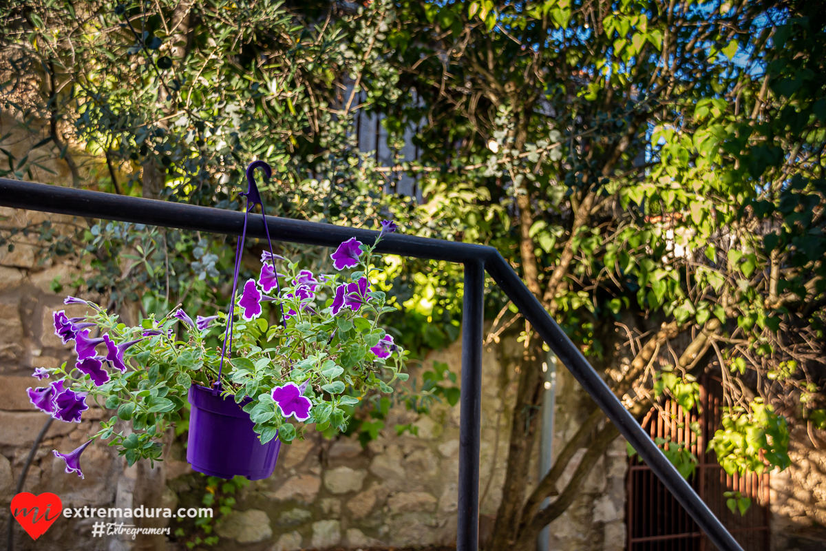 hostal-leon-trujillo