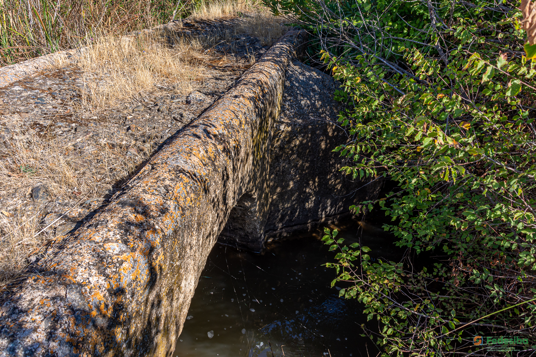 fedesiba-patrimonio-cultura