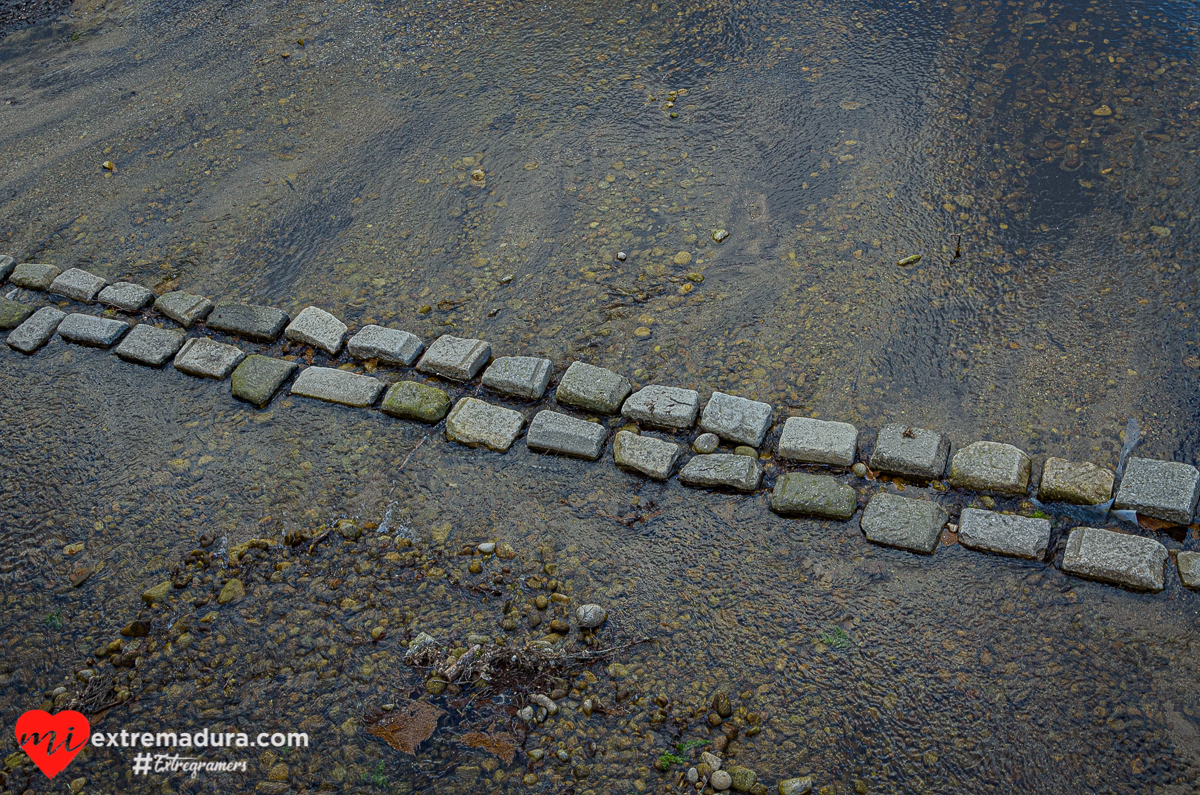 Otoño en Pedro Chate