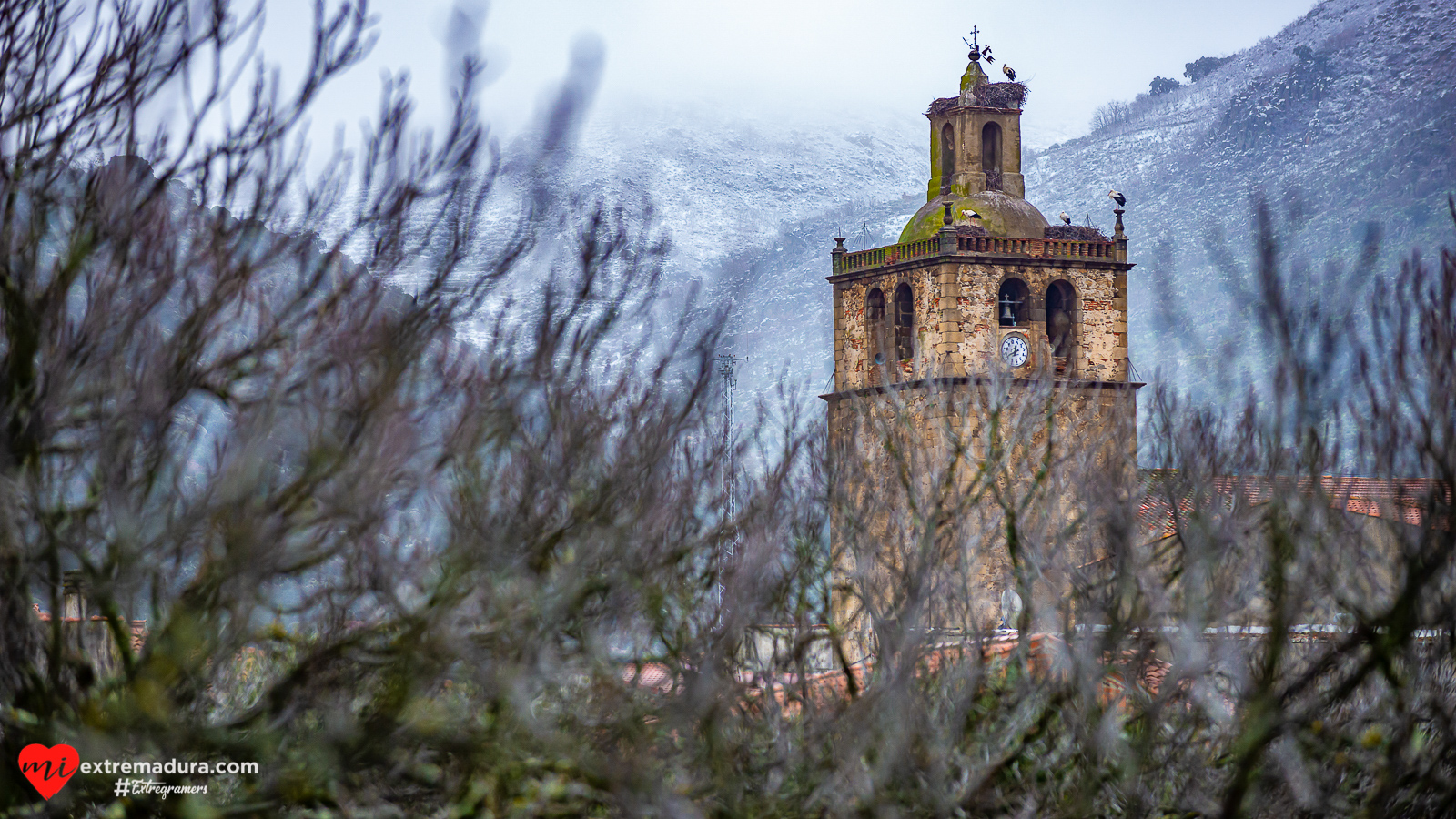 nevada filomena 2021