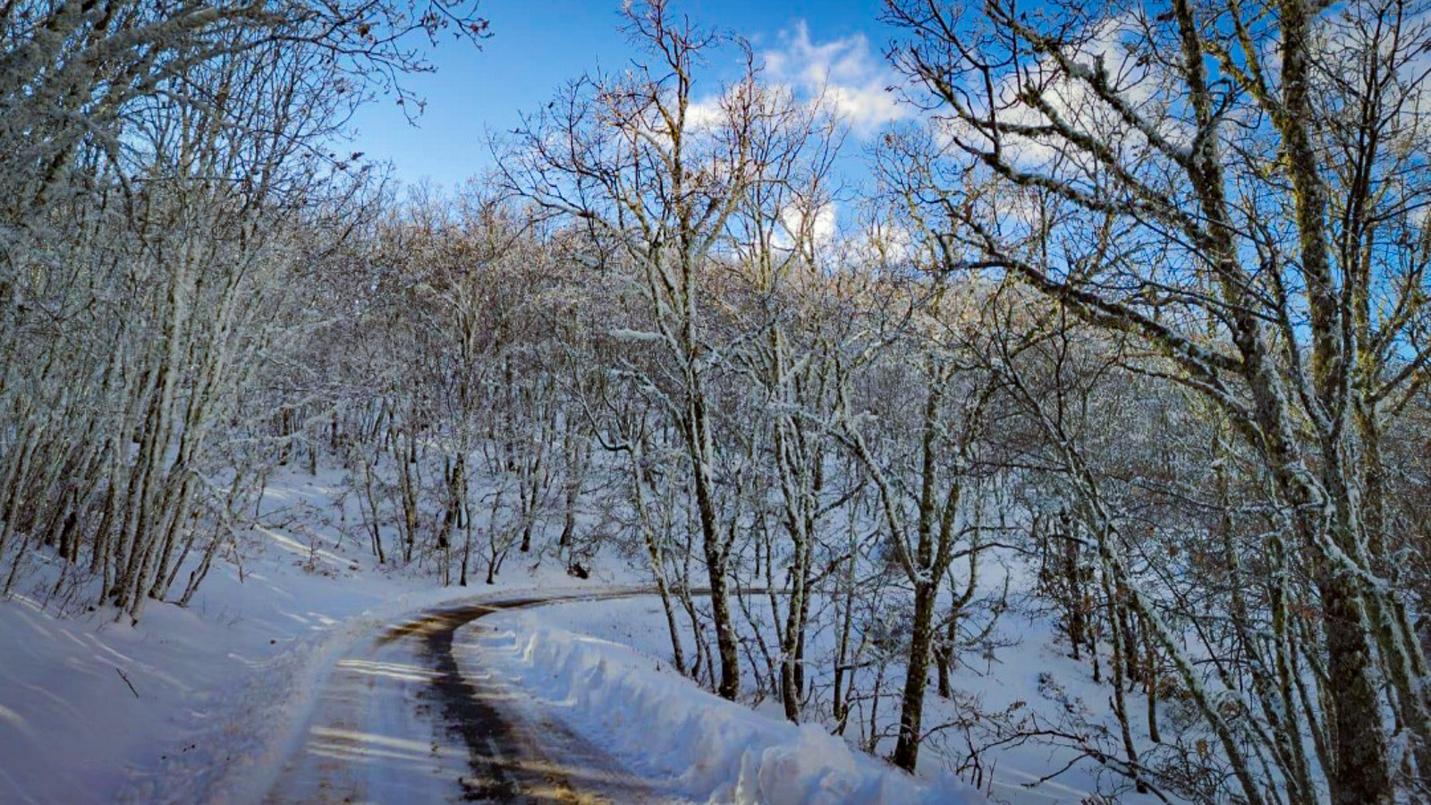 nevada filomena 2021