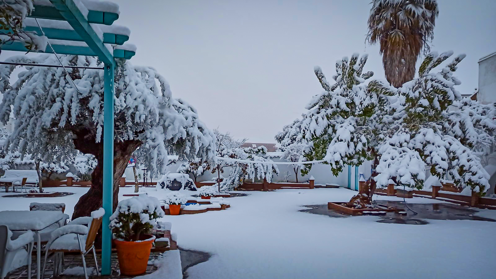 nevada filomena 2021