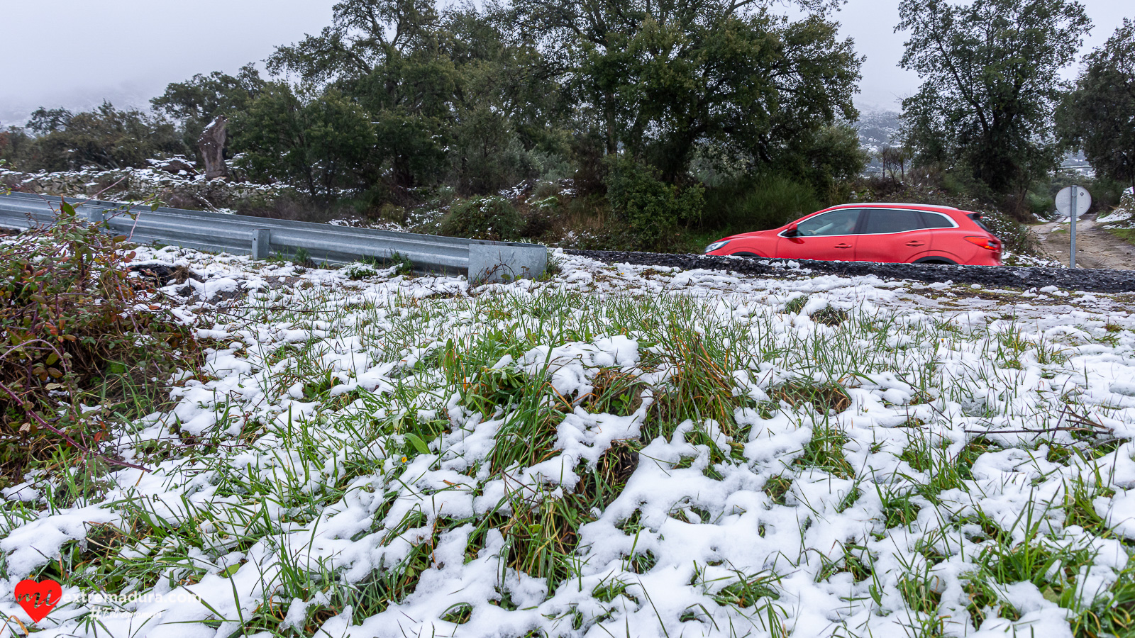 nevada filomena 2021