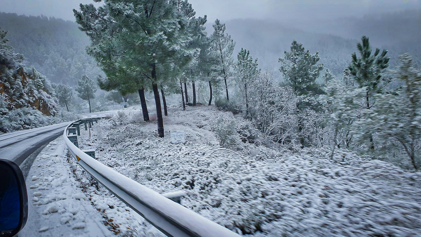 nevada filomena 2021