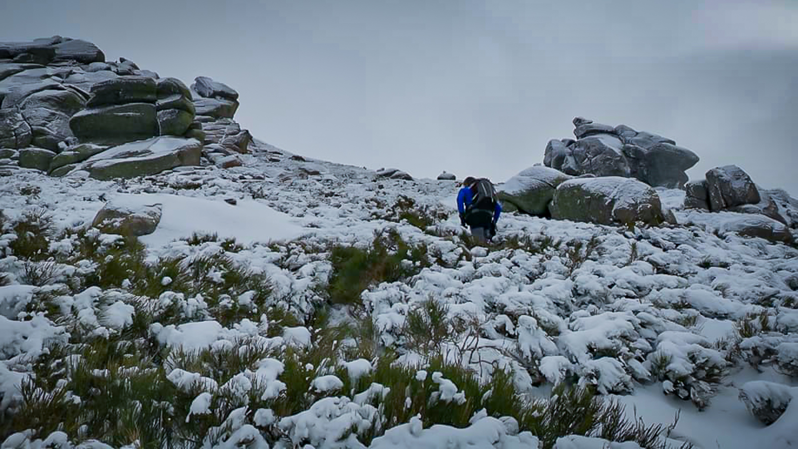 nevada filomena 2021