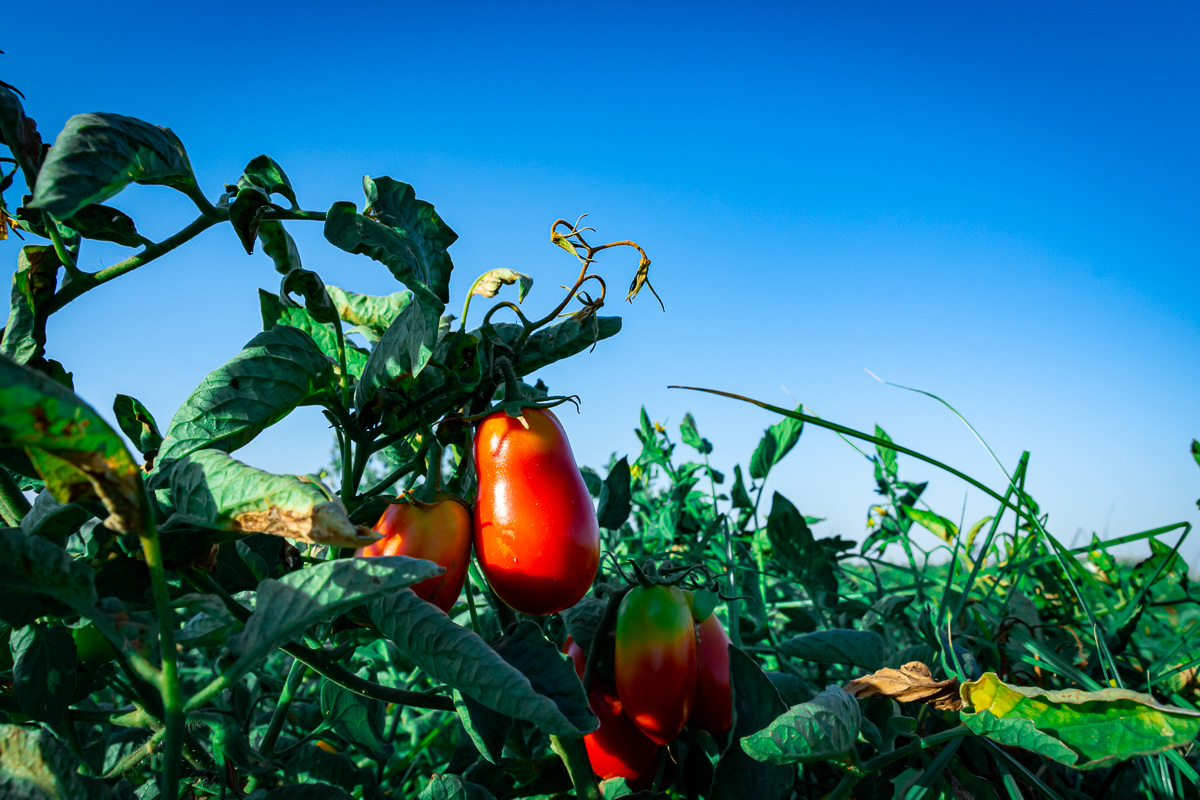 naturaleza-estrellas-comarca-lacara